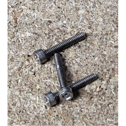 Titanium Rapido Screws PrintyPlease.uk