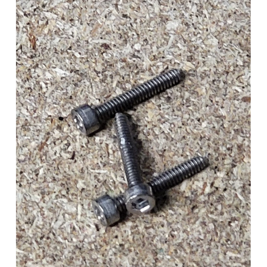 Titanium Rapido Screws PrintyPlease.uk